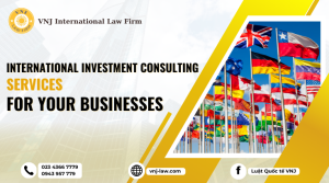 Trusted international investment consulting services